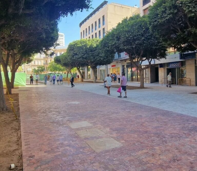 Almerienses registra sus alegaciones y tilda la ordenanza de movilidad de “oportunidad perdida diseñada desde el coche oficial”